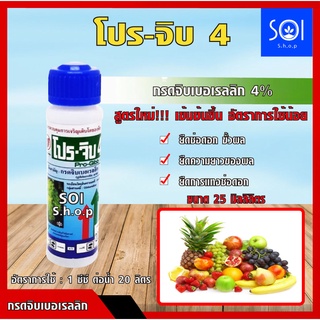 โปรจิบ 4 Pro-Gibb4 กรดจิบเบอเรลลิก (gibberellic acid) ยิบอินซอยและแย็คส์ Yip Jacks สารช่วยการเจริญเติบโตของพืช