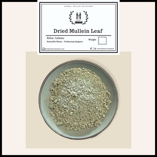 Organic Mullein Leaf Tea ใบมัลเลนแห้ง (Verbascum Thapsus)