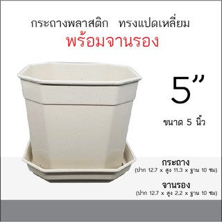 กระถางพลาสติก 8เหลี่ยม 5นิ้ว ขายพร้อมจานรอง กระถางแคคตัส กระถางไม้อวบน้ำ กระถางแปดเหลี่ยม