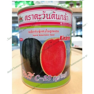 เมล็ดพันธุ์แตงโมกินรี C29 ขนาด 250 กรัม