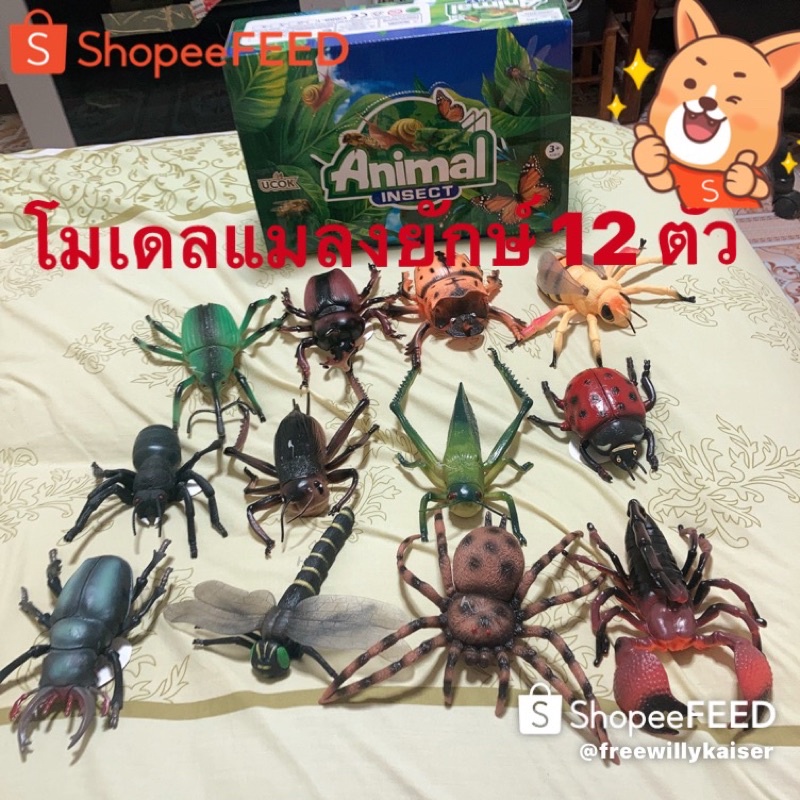 โมเดลแมลงยักษ์ 12 ตัวต่อกล่อง