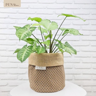 Pena Home : PLANT POT COVER กระถางต้นไม้ สีน้ำตาลเหลืองจุดเล็ก รุ่น 7PAS0008-7PAXL0008