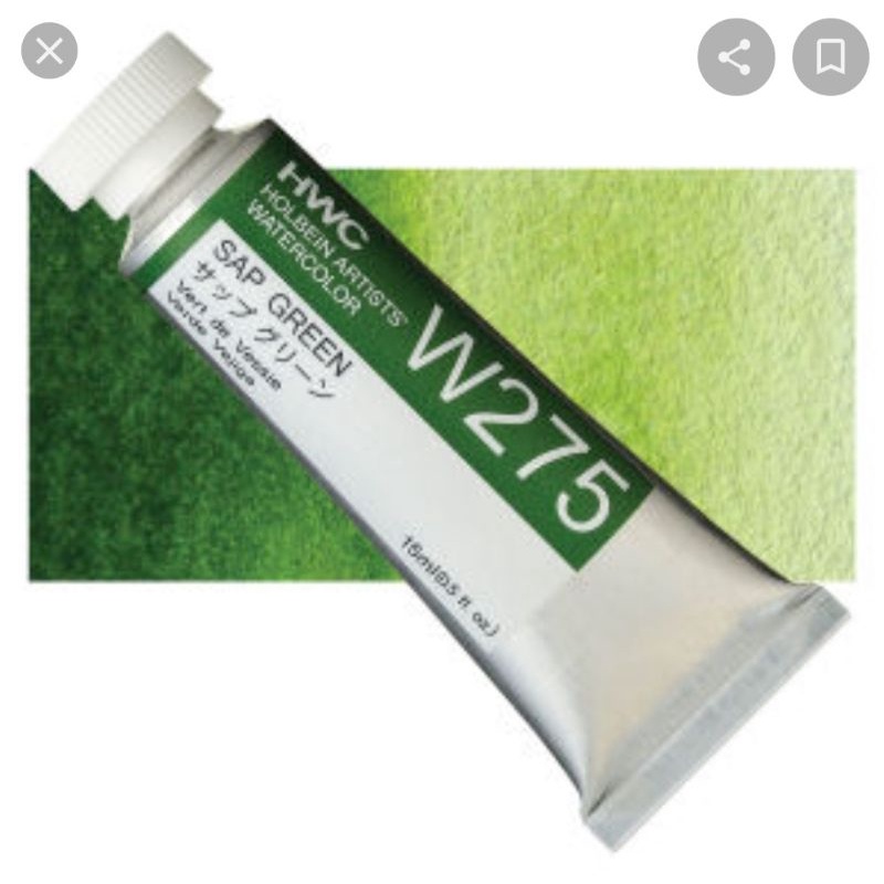 Sap Green W075/W275/WW075 SerB  5/15/60ml สีน้ำโฮลเบน Holbein Japan Artist Watercolor ホルベイン透明水彩絵具