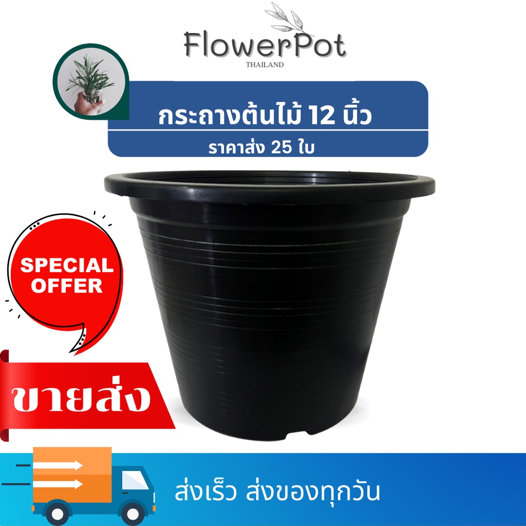 (25 ใบ) กระถาง 12 นิ้ว  สีดำ กระถางพลาสติก