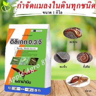 ยารองก้นหลุม ดิลิเกท ขนาด 1  กิโล  ยาฆ่าแมลงในดิน สัตว์เลื้อยคลานทุกชนิด มาร์แชล  ยากันแมลงในดิน ฟูราดาน กิ้งกือ