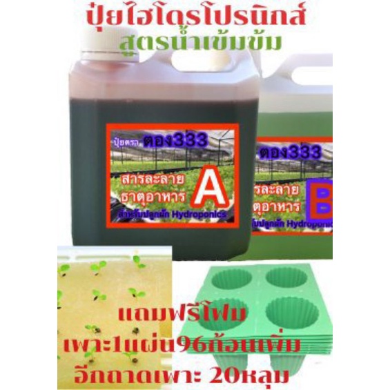 ปุ่ย ab ไฮโดรโปรนิกส์ สูตรเข้มข้น 2 ลิตร a1ลิตร b1ลิตร แถมโพมเพาะ