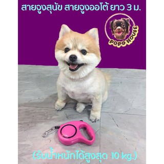 สายจูงสุนัข สายจูงอัตโนมัติ Automatic Leash ปรับความยาวได้ สำหรับสุนัขและแมว ยาว 3 เมตร (รับน้ำหนักได้สูงสุด 10 kg.)