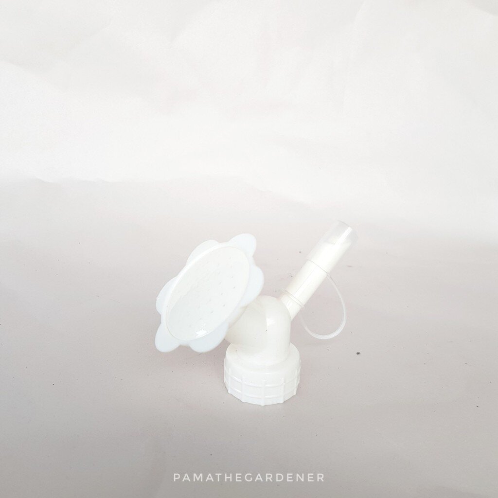 มุมมอง 2