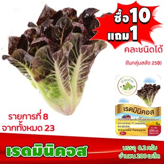 (ซื้อ10แถม1 ฟรีคู่มือ) เมล็ดพันธุ์ เรดมินิคอส RED MINICOS  (0.2 กรัม 200 เมล็ด) เบบี้คอส ทำมะชาดฟาร์ม  ผักสลัด