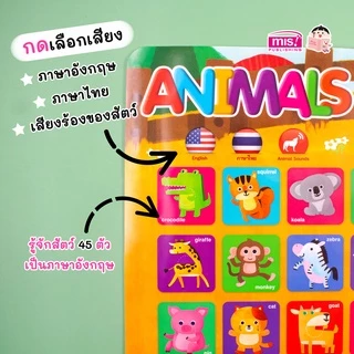 MISBOOK หนังสือฝึกอ่าน ฝึกคัด พร้อมโปสเตอร์พูดได้ กดแล้วมีเสียง มีหลายหมวดให้เลือก poster