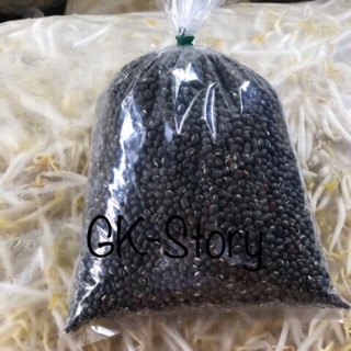 เมล็ดถั่วแขก ผิวดำ สำหรับเพาะถั่วงอก เกรด AAA คลึงกิโล