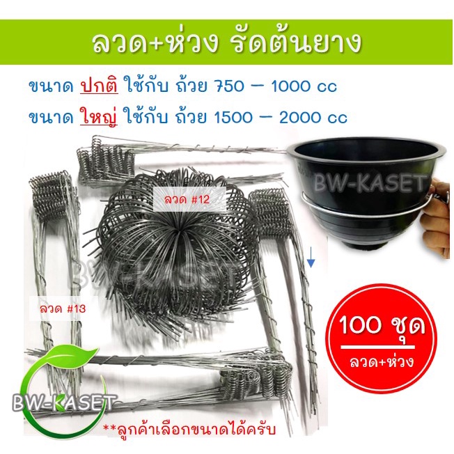 (100ชุด) ลวดรัดต้นยาง ลวดรองถ้วยน้ำยาง ใช้ลวดเบอร์ 13  ลวดรัดต้นยาง ชุดลวดสปริง+วงรองถ้วยยางพารา ขนา
