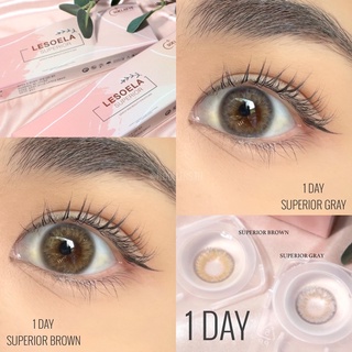 NEW❤️‍🔥 1 DAY Soelaeye Lesoela Superior Brown &amp; Gray รายวัน ค่าอมน้ำ 58% DIA: 14.1