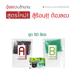 ปุ๋ย AB 50 ลิตร [ชนิดผง] (1:200) ผักสลัด ปลูกผักไฮโดรโปนิกส์