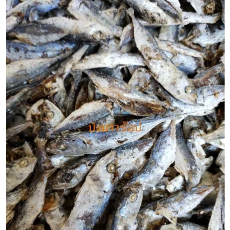 ปลาทูเล็กแห้ง ปลาทูเล็กเค็ม อาหารทะเลแห้ง นน.500g