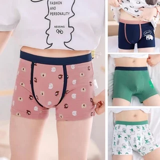 กางเกงในเด็กผู้ชาย เด็กโต/เด็กเล็ก/Boy/Children/underwear ผ้าฝ้ายแท้100% 2-13ขวบ/บ๊อกเซอร์เด็กชายระบายอากาศ(4ตัว/แพ็ค)