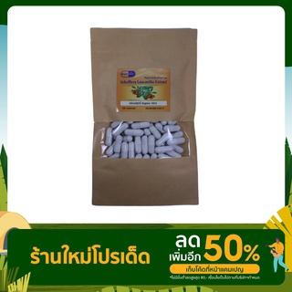 หนุมานประสานกาย Schefflera Leucantha Extract ขนาด 500 มิลลิกรัม 100 แคปซูล