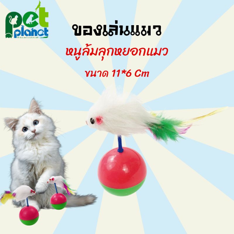 ลูกบอลล้มลุก ของเล่นแมว อุปกรณ์เลี้ยงแมว ลูกบอลหยอกแมว ลูกบอลล้มลุก ของเล่นแกล้งแมว อุปกรณ์ แมว ตุ๊กตาแมว ไม้ตกแมว