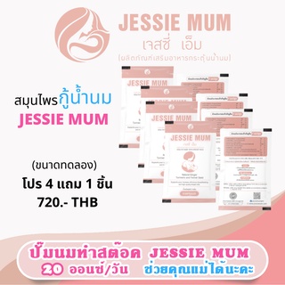 Jessie Mum by PorjaiBaby อาหารเสริมกระตุ้นน้ำนมสำหรับคุณแม่ ชุดทดลอง 4 แถม 1