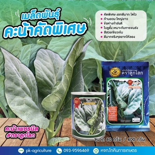 เมล็ดพันธุ์คะน้าเพชรนิล (ตราลูกโลก) ขนาด 80-400 กรัม