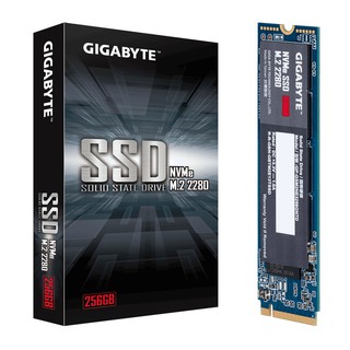 Gigabyte NVMe M.2 2280 PCIE 256GB SSD GP-GSM2NE3256GNTD