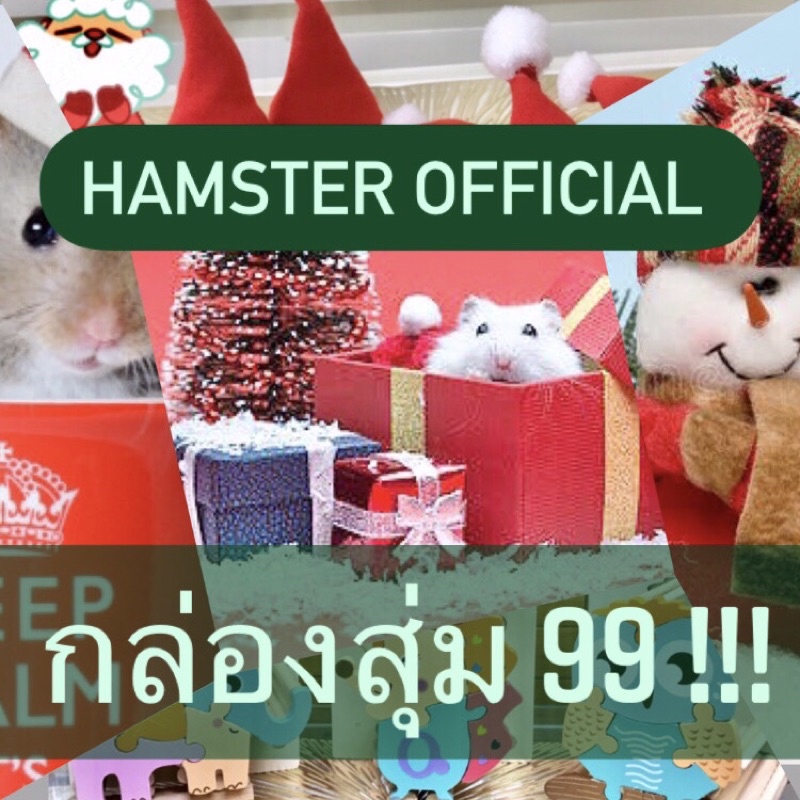 กล่องสุ่มของกิน ของใช้สัตว์เล็ก ของน่ารักแฮมเตอร์ ชูก้าร์ เม่นแคระ ชินชิลล่า แฮมสเตอร์ Hamster Offic