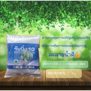 แพกโคลบิวทราซอล 10% #รันนิ่ง10 สารราดมะม่วงบังคับให้ออกดอก (1กิโลกรัม)