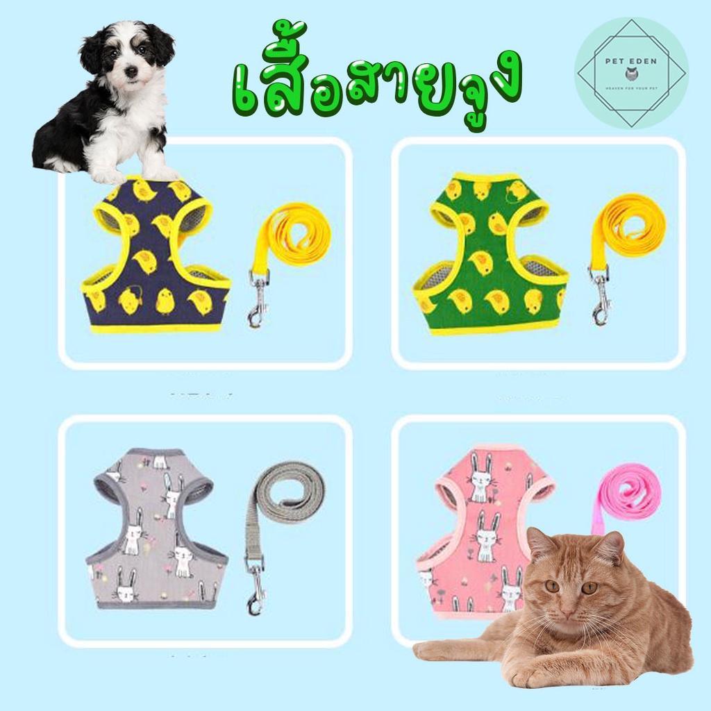 สายจูงสัตว์เลี้ยง สายจูงรัดอก Harness, Dot Harness Fancy Harness หมา แมว สุนัข