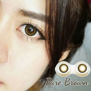 💟 Pure (Vivi )  mini/big Pitchylens Sweety Plus brown gray black Contactlens บิ๊กอาย คอนแทคเลนส์ ราคาถูก แถมตลับฟรี