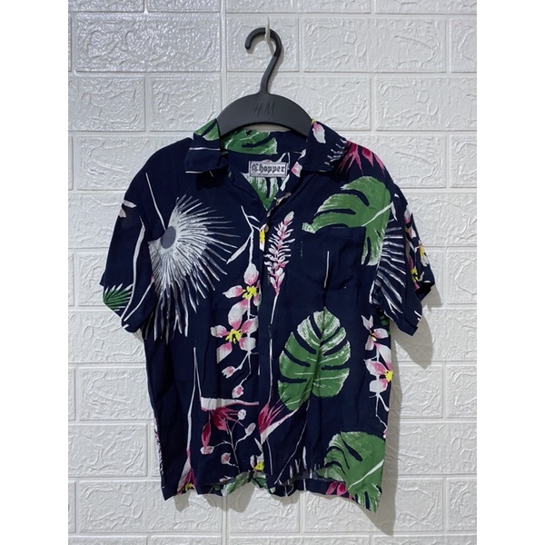 อัลบั้ม 104+ ภาพพื้นหลัง เสื้อฮาวายเด็ก ใหม่ที่สุด