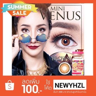 mini Venus brown/gray (0.00ถึง-5.00)-kitty kawaii