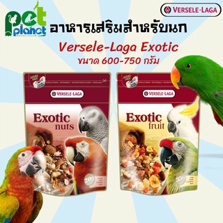 ขนมนก Exotic อาหารนก อาหารนกแก้ว ขนมนกแก้ว ถั่วนานาชนิด Versele Laga - Exotic Nut ขนาด (750g)(600g)