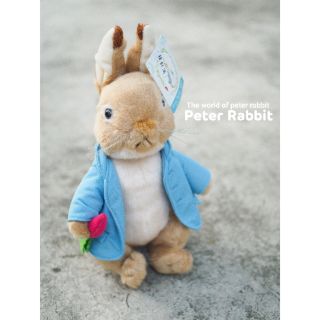 🐰 peter rabbit doll 🐰