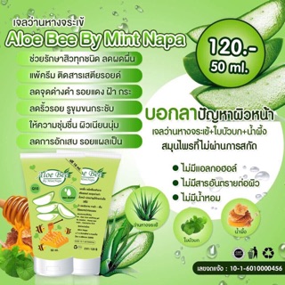 ว่านหางจระเข้ aloe bee