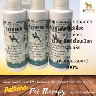 สเปรย์นาโนรักษาขี้เรื้อนPETHERA