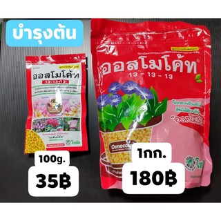 ออสโมโค้ท (Osmocote) สูตร 13-13-13 สารอาหารปุ๋ยละลายช้า สูตร 3 เดือน ขนาด 1กิโลกรัม ออสโมโค้ด ออสโมโคด