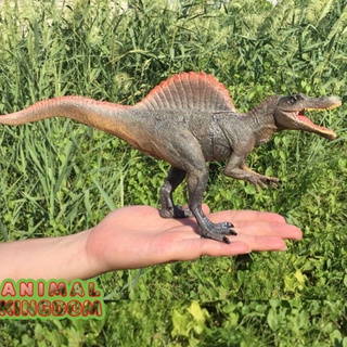 Animal Kingdom - โมเดลไดโนเสาร์ Spinosaurus น้ำตาลเทา ขนาด 28.00 CM (จากหาดใหญ่)