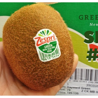 TOP-1กีวี่เขียว Green KIWI (7ลูก) (FRANCE/NewZealand) ~ลดพิเศษ~ Premium กีวีเขียว นิวซีแลนด์ กีวี่สด ผลไม้กีวี่ ผลไม้สด