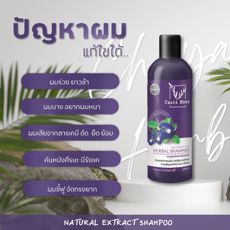 ⚡️โปร 1 แถม 1 ⚡️ 💜แชมพูอัญชัน chaya herb สูตรเข้มข้น สกัดจากดอกอัญชันสด ลดทุกปัญหาของเส้นผม - รูปที่ 5