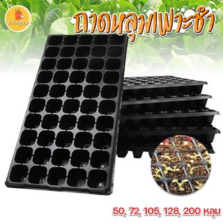ถาดเพาะกล้า ถาดเพาะชำ ถาดเพาะเมล็ด ถาดเพาะต้นอ่อน ถาดเพาะ ถาดเพาะไฮโดร [พร้อมส่งไม่มีขั้นต่ำ]