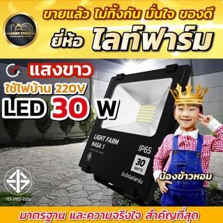 Light Farm โคมไฟฟลัดไลท์ 30W แสงสีขาว โคมไฟฟลัดไลท์/โคมไฟสปอร์ตไลท์ LED โคมไฟสนาม