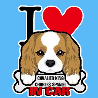 สติกเกอร์ จุ๊บติดกระจก แผ่นแม่เหล็กติดรถยนตร์ สติกเกอร์หมา DOG IN CAR AC10B