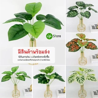 ต้นไม้ประดับหลากสไตล์หลายชนิด รุ่นขนาดใบ 10*12cm ต้นไม้ประดิษฐ์ สวยงามเสมือนจริง (พร้อมส่งในไทย ถึงเร็วทันใจ)