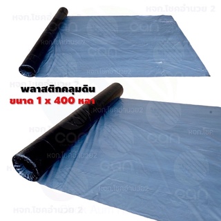 พลาสติกคลุมดิน หนา 28 ไมครอน ขนาด 1 เมตร ยาว 400 หลา สีดำ-เงิน กันหญ้าขึ้น ผ้าคลุมดิน พลาสติกคลุมแปลง ผ้าคลุมแปลง