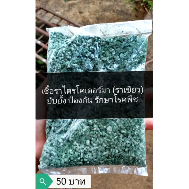 เชื้อราไตรโคเดอร์มา​ ชนิดสด​ พร้อมใช้ 150​ กรัม​ tricoderma​
