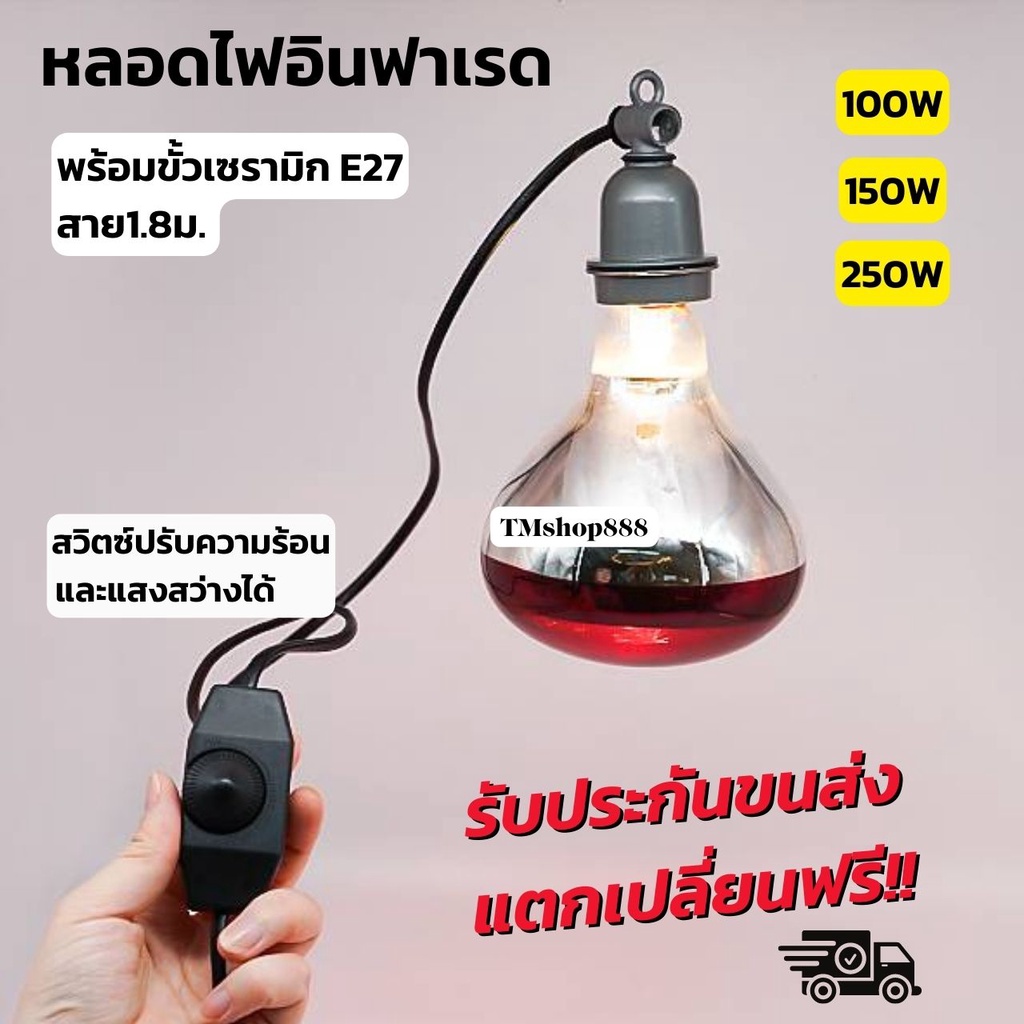 หลอดไฟกกหมู [สีแดงเรียบ] พร้อมขั้วสายไฟแบบมีสวิตช์ปรับความร้อนได้  กกไก่ กกหมู กกสัตว์เลี้ยง