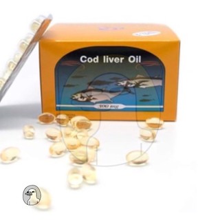 น้ำมันตับปลา cod liver oil (100เม็ด) ยกกล่อง