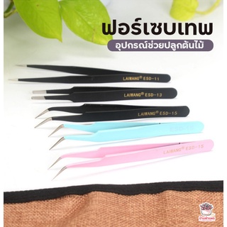 ฟอเซปเทพ Forcep ฟอเซป ปากคีบ อุปกรณ์ช่วยปลูกต้นไม้ แคคตัส กระบองเพชร cactus&amp;succulent