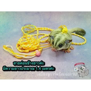 V ( สายจูง 1.4 เมตร ) สายรัดอกสัตว์เลี้ยง ที่รัดอก ที่จูง เชือกรัดอก สัตว์ สัตว์เล็ก ชูการ์ กระรอก ดอร์เมาส์ แฮมสเตอร์