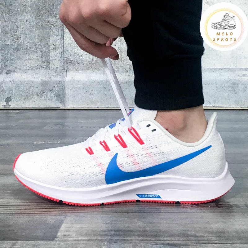 pegasus turbo 36